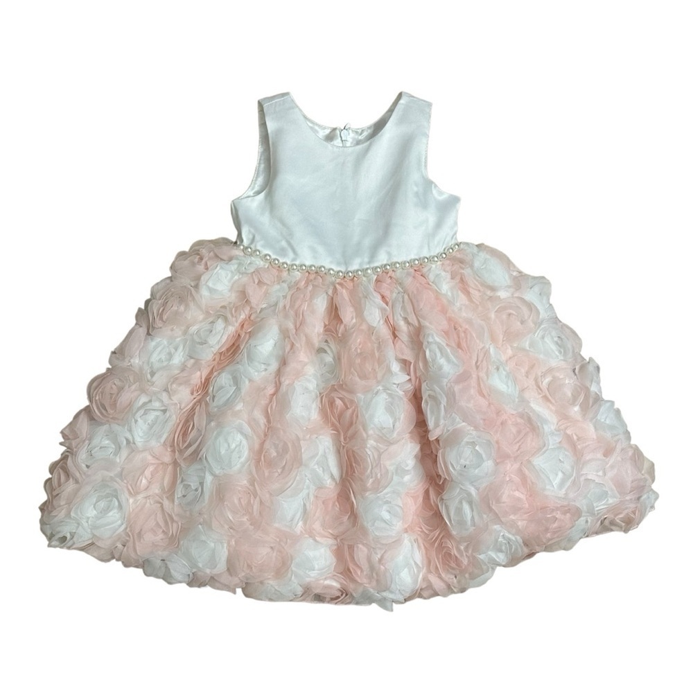 American Princess Dress Flower Girl Roses Pink White Dainty Spring Summer 2T